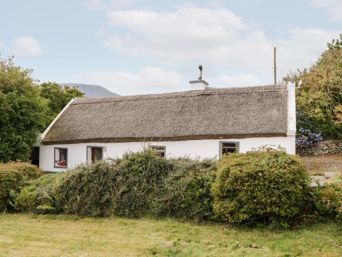 The Thatched Cottage Liscarney Exteriör bild